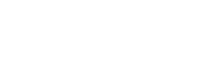 10 Day African Safari