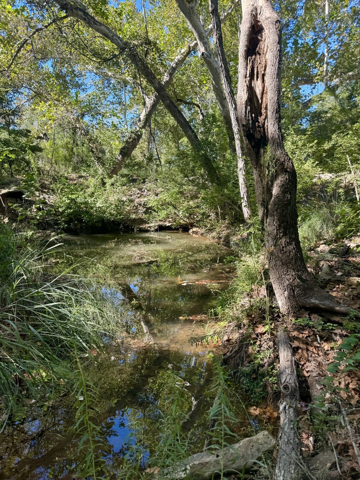 flow_image_3396_20250420123321_36892.png
