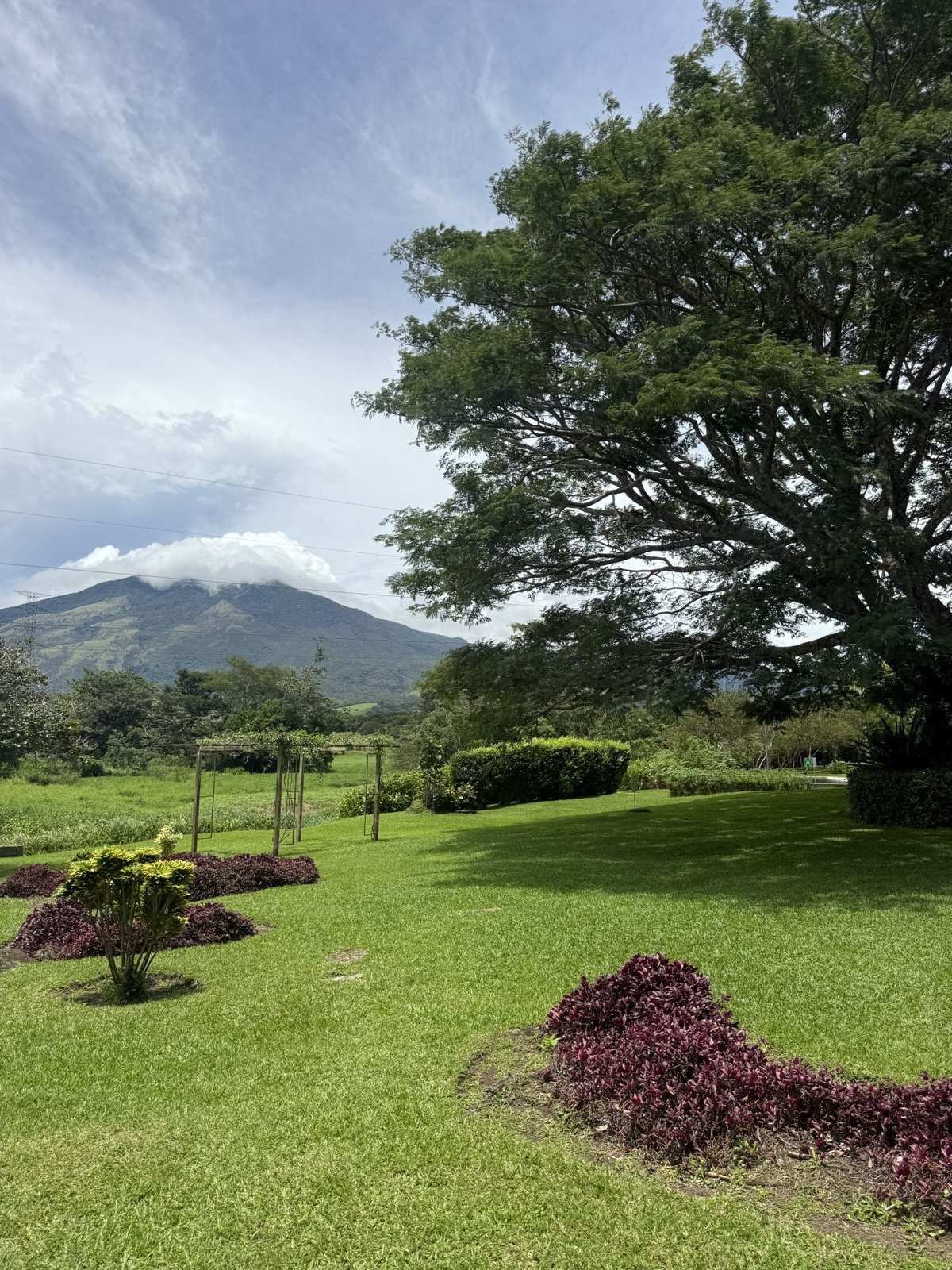 flow_image_5078_20260109182835_77272.png