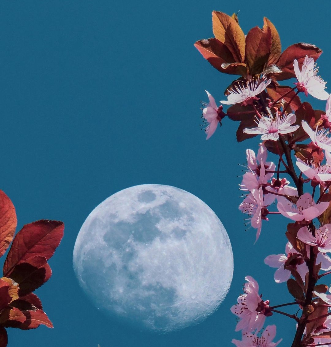 Lunar New Year Manifestation Workshop: 2/22 Portal at 3rd Eye in Austin