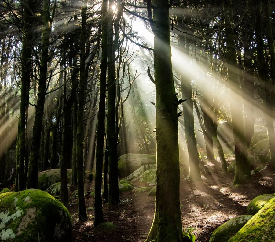 Connecting to Your Ancestral Lineage at 3rd Eye in Austin