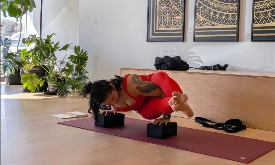 Advanced Asana Practice: Building Strength, Balance, & Flight at Flow Yoga Georgetown in Cedar Park