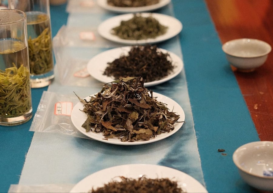 Chinese Tea Tasting at Flow Yoga Westgate in Westgate Austin